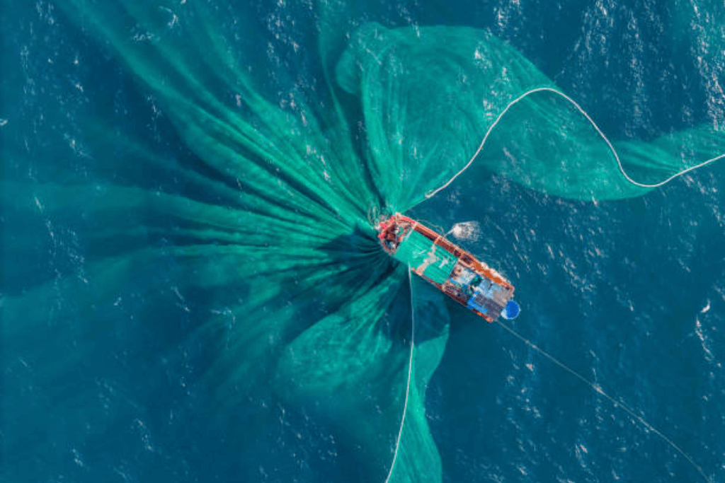 3 Reasons to Visit Bunaken Island