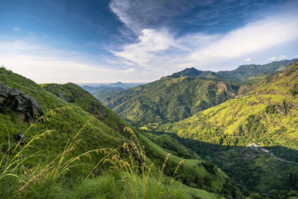 Little Adam’s Peak Hike in Sri Lanka