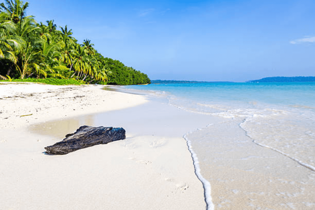 Andaman Islands,Andaman & Nicobar Travel Guide