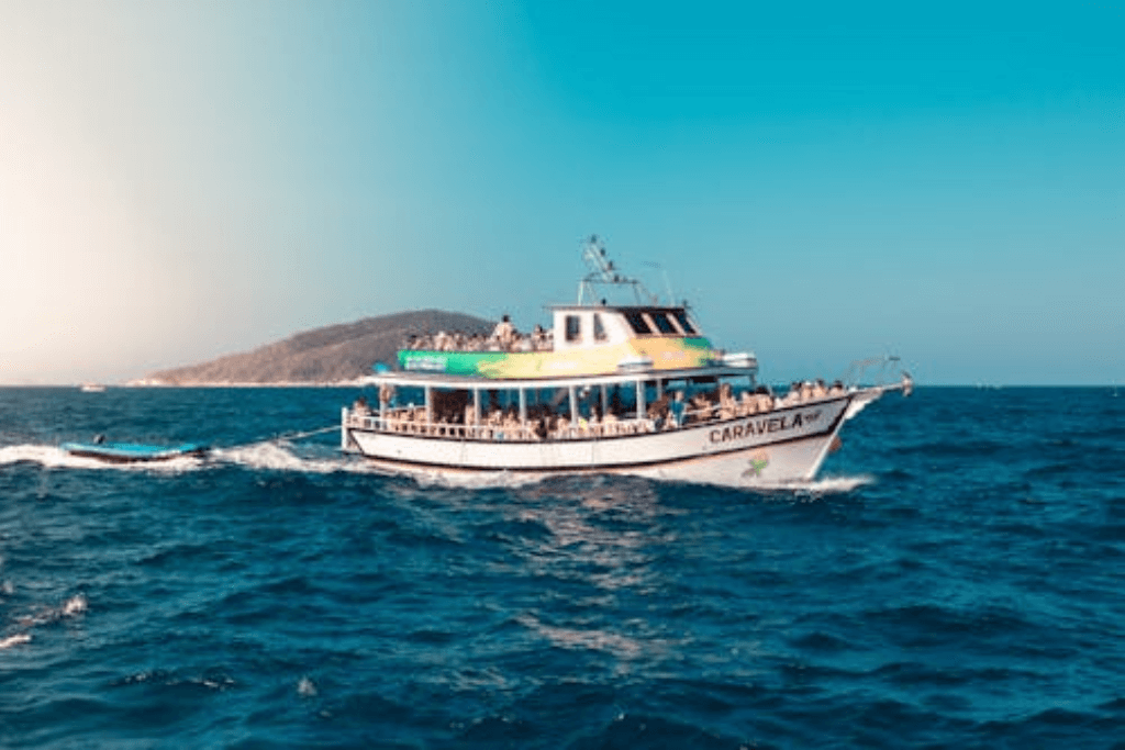Boat Tours in Bunaken Island
