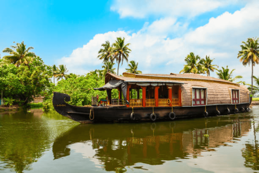 Kerala Backwaters, Kerala Travel Guide