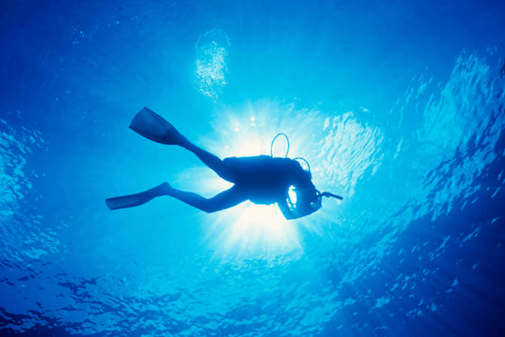 Scuba Diving in Bunaken