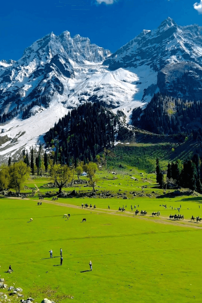 3 Reasons to Visit Jammu and Kashmir