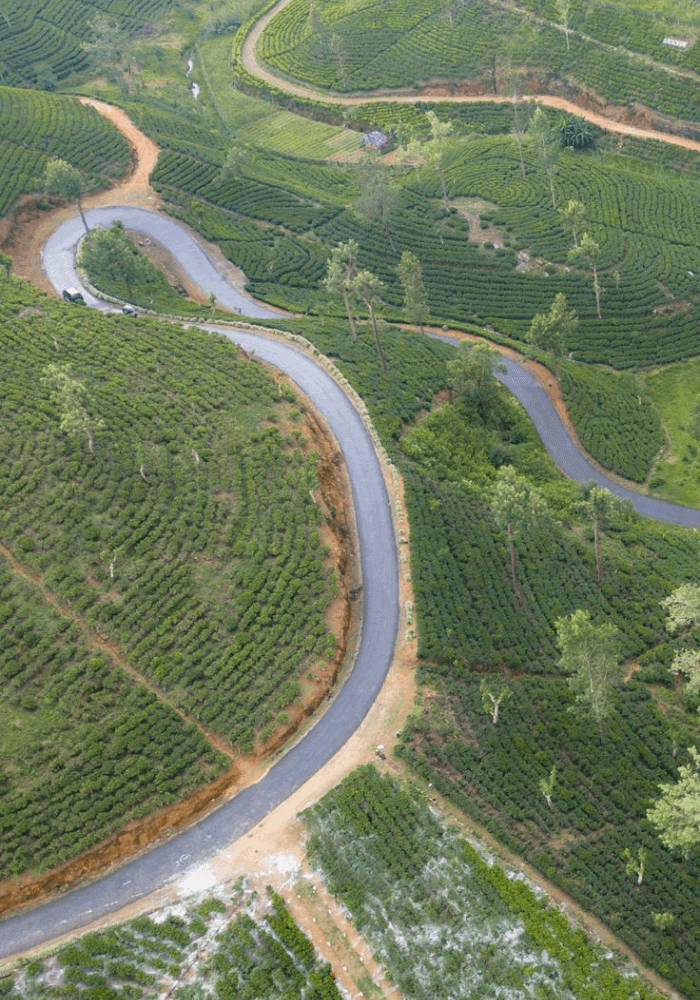 Best Time to Hike at Little Adam’s Peak