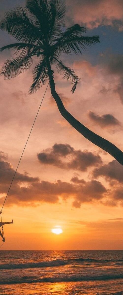 Dalawella-Beach-Swing-In-Sri-Lanka--rb101jn9expqx0covwh4j676jqe6v5w0d6jtkcar4w