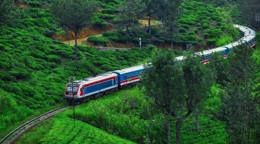 Kandy to Ella Train Ride