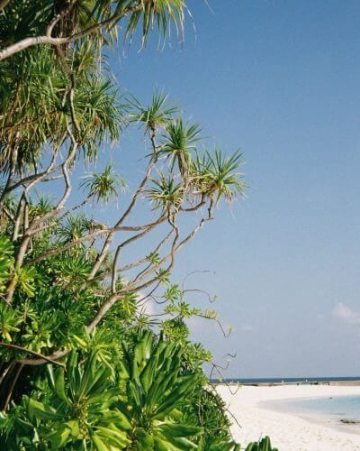 Stingray Beach in Maldives