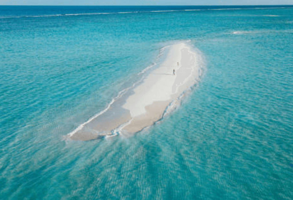 dolphine-island-in-maldives-rezr1l8w5502f4fojiplfmnrkcy6wnx0hvzoub10ew