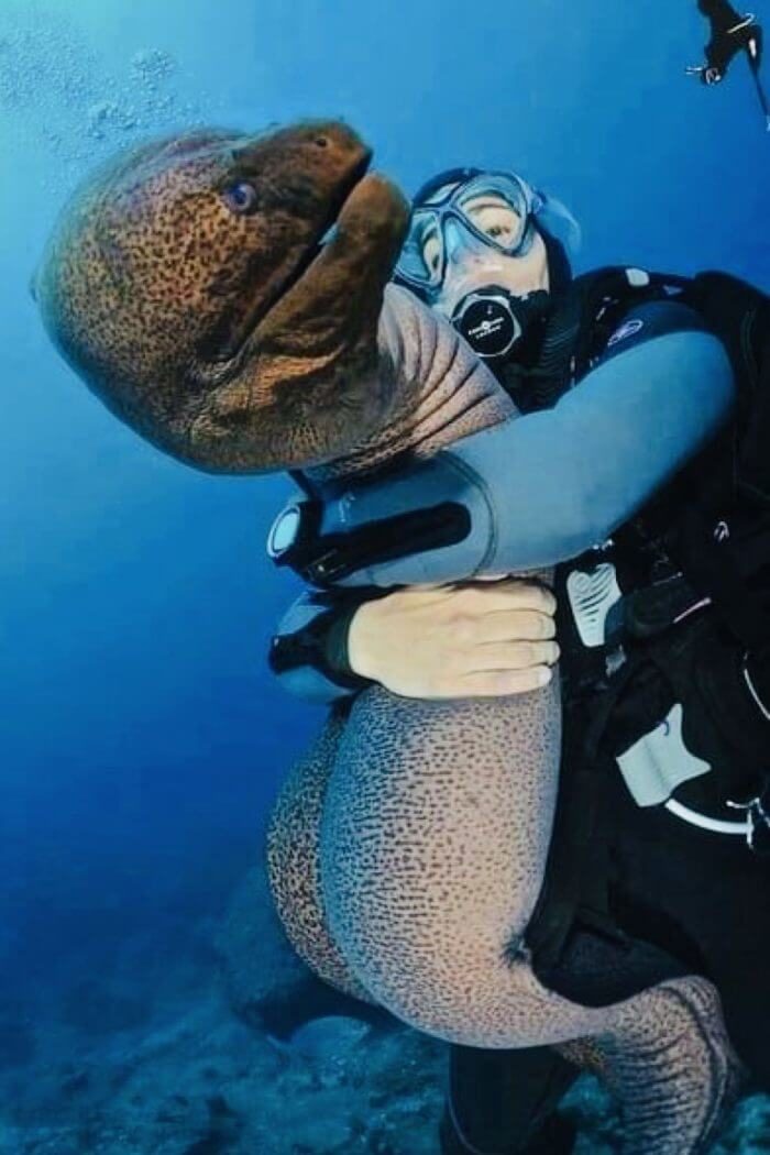 maldives-water-dive-rc4yak1h7c2b72z95v5fy7j02py2loji1z9f084cg4