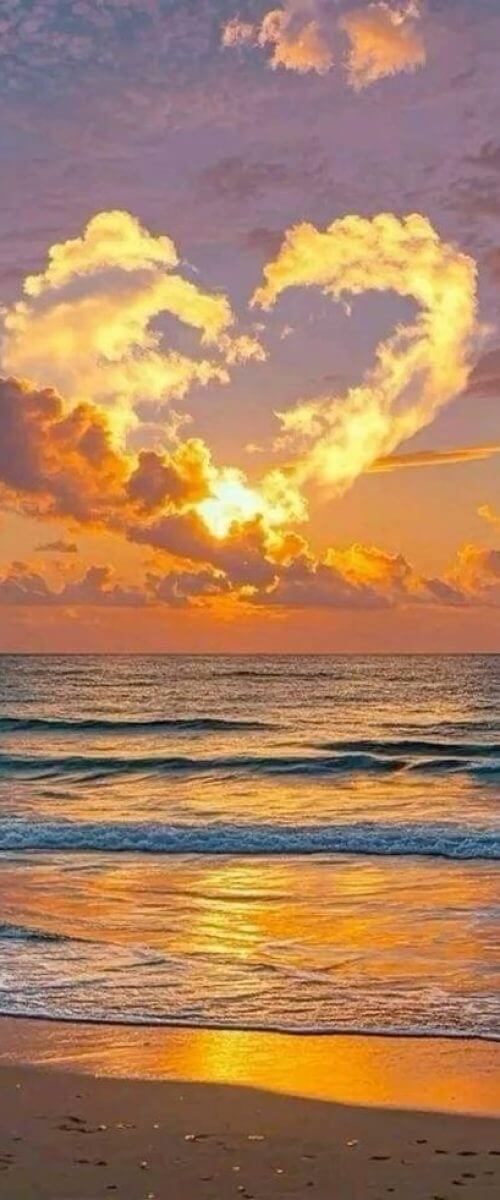 sea-sunset-in-srilanka-rb101hrl19n69sff6vnve6o9cyngfrojox8ulsdjhc