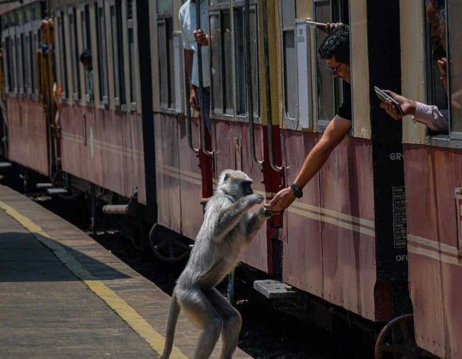 train ticket from Kandy to Ella
